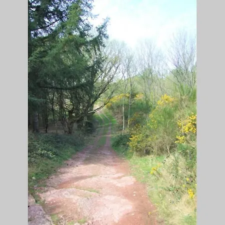 Chalet La Hulotte Foret De Broceliande