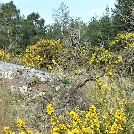 בקתה Chalet La Hulotte Foret De Broceliande Trehorenteuc